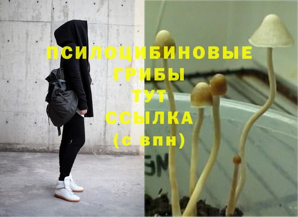 гашиш Заводоуковск