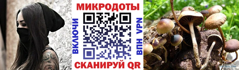 наркота  кракен ССЫЛКА  Псилоцибиновые грибы Cubensis  Знаменск 